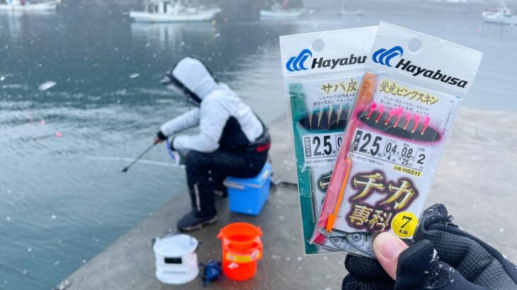 大雪の中、サビキ釣りをしたら何が釣れるの？