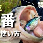 【冬のバス釣り 定番ルアーの使い方】 この基本を必ず覚えておこう!! あの定番ルアーは、冬はこう使え!! 【水の旅 # ２６】