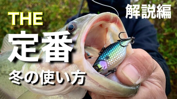 【冬のバス釣り 定番ルアーの使い方】 この基本を必ず覚えておこう!! あの定番ルアーは、冬はこう使え!! 【水の旅 # ２６】