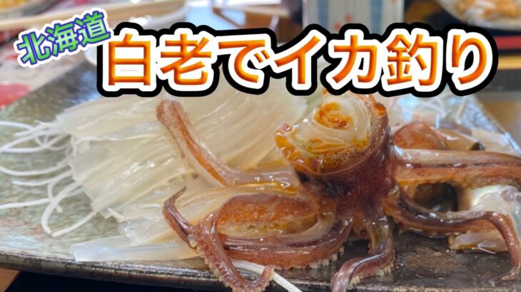 イカ釣り体験！函館行かなくても新鮮な活イカ定食！