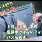 【びん沼バス釣り】冬のブラックバスを釣る方法❗️✨