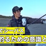 【1尾を釣るために】高橋優介に聞いてみた。サーフのシーバス狙いで必ず意識すべきコトとは？