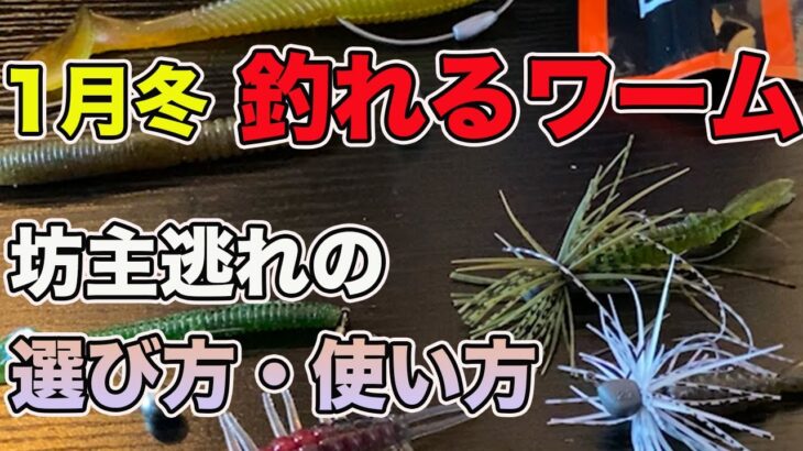 【バス釣り】1月冬のおすすめワーム・ソフトルアーを紹介！使い所や使い方を解説してみた【バス釣りJAPANちゃんねる】