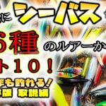 2020年実際にシーバスが釣れた46種のルアーから選ぶベスト10！ – 2021年も釣れる永久保存版取説編 – 東京湾シーバス