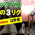 ブラックバス初心者のための基本の3リグ！【Megabass】【YOSHIKI】