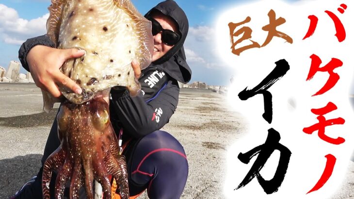 【化け物】釣り開始１投目で超巨大イカを釣りました【神回】