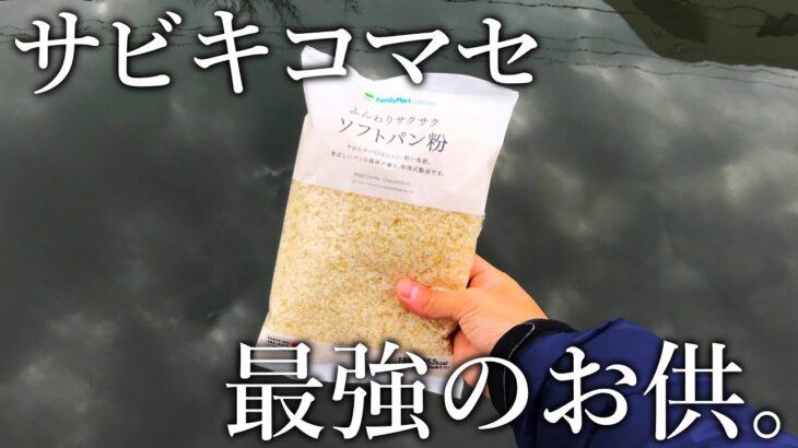 サビキ釣りのコマセに「パン粉」を混ぜるだけで釣果が格段に上がる説