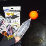 ぶっこみサビキ釣り史上［自己最大記録］の大型魚を確保した！