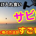 【大発見】サビキ釣りで釣れると噂の最強の釣り方を試したら1人だけ入れ食いになった‼︎