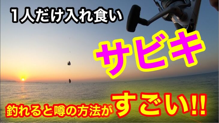 【大発見】サビキ釣りで釣れると噂の最強の釣り方を試したら1人だけ入れ食いになった‼︎