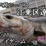 【2020年秋シーバス】江東区遠征Run&Gunデイゲーム