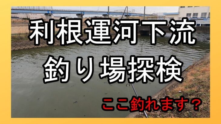 バス釣り！利根運河下流の釣り場探検　地元常連さんから有力情報GET！流山市釣り場探検