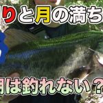 【バス釣り】春の大潮や満月・新月は関係ない？釣れない理由と釣れる潮回りについて推察してみた【早春】【ブラックバス生態】【スポーニング】