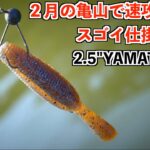 【バス釣り】ゲーリーヤマモト「ヤマタヌキ」小森嗣彦プロ２月の亀山湖攻略に抜群の仕掛けを考案!? #バス釣り #ヤマタヌキ