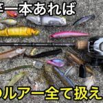 【究極のバーサタイル】メインタックル紹介します。