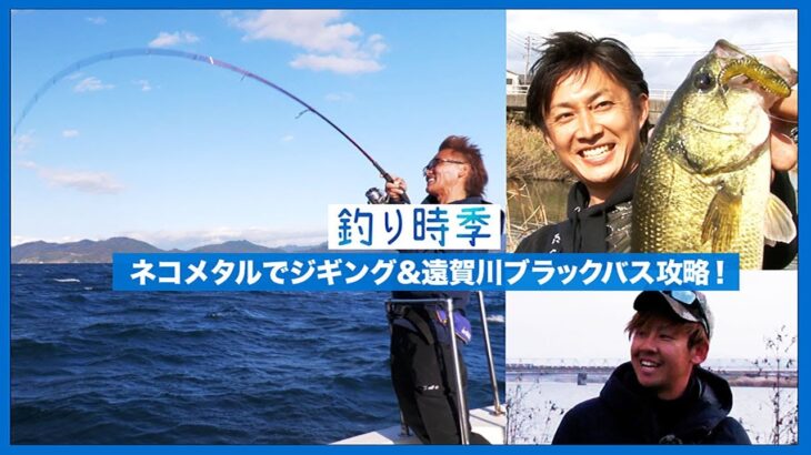 【釣り時季】ネコメタルでジギング＆遠賀川ブラックバス攻略！