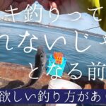 こんなに釣れるとは思わなかった…最強と名高いサビキ釣り“トリックサビキ”を教えてもらいました。釣れないと悩む前に試してみてください！