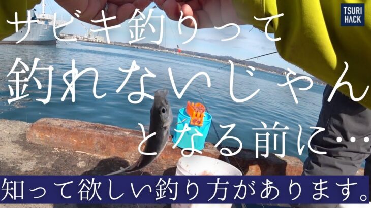 こんなに釣れるとは思わなかった…最強と名高いサビキ釣り“トリックサビキ”を教えてもらいました。釣れないと悩む前に試してみてください！