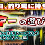 その日、釣り場に持ち込むルアーの選び方！ – 何故か陸っぱりシーバスが余り釣れない方へ編 – ルアーチョイス