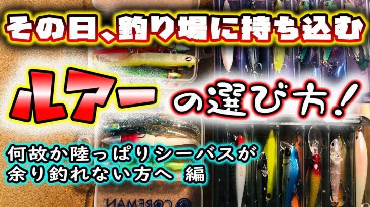 その日、釣り場に持ち込むルアーの選び方！ – 何故か陸っぱりシーバスが余り釣れない方へ編 – ルアーチョイス