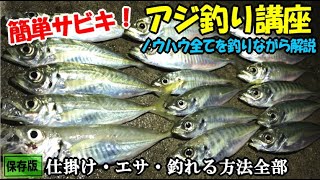 初心者でも釣れる簡単サビキ釣りアジ釣り講座！【実釣付き】周囲が釣れていない時にアジを釣る小技や名人のサビキ針収納方法