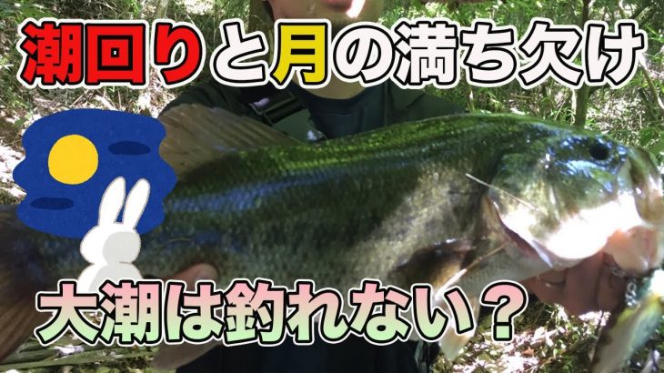 【バス釣り】春の大潮や満月・新月は関係ない？釣れない理由と釣れる潮回りについて推察してみた【早春】【ブラックバス生態】【スポーニング】