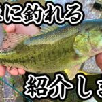 【バス釣り　中川】川バス釣るならこのルアー‼バス釣りルアー紹介します。