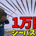 【シーバス入門】釣りプロが総額10,000円タックルでシーバスを本気で狙う！〈実釣編〉