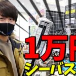 【シーバス入門】釣りプロが総額10,000円タックルでシーバス釣りに挑戦する！〈購入編〉