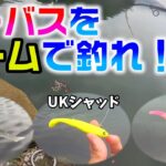 【シーバスゲーム】新しく買った3つのワームで釣れるか！春のシーバスを狙え