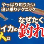 【ヤリイカの達人はなぜたくさん釣れるのか？】やっぱり知りたい追い乗りテクニックin内房勝山出船