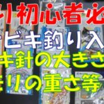 【釣り初心者必見】サビキ釣り入門、針の大きさ・オモリの重さ等