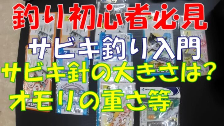 【釣り初心者必見】サビキ釣り入門、針の大きさ・オモリの重さ等