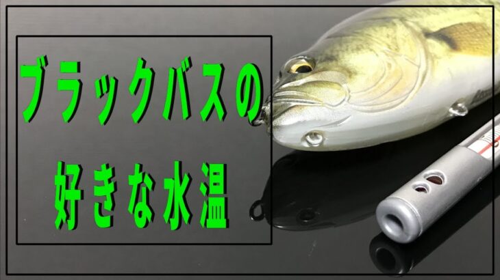 【ブラックバスの生態】水温の関係を理解しないと釣れる確率は下がる？【バス釣り】【初心者】