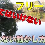 【バス釣り】フリーリグの釣れない使い方や動かし方!!悪いアクションのセッティングを知って使いこなそう!!【ドライブビーバー】【ピンフリーショット】