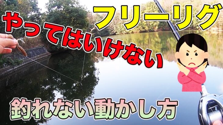 【バス釣り】フリーリグの釣れない使い方や動かし方!!悪いアクションのセッティングを知って使いこなそう!!【ドライブビーバー】【ピンフリーショット】