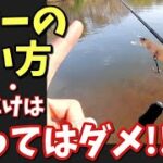 【バス釣り】ミノーの釣れない使い方・動かし方、してませんか？