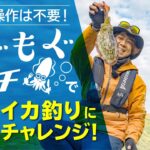 エギーノもぐもぐサーチを使って近くの堤防でイカ釣りにチャレンジ