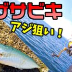 【サビキ釣り】アジ狙いで冬の投げサビキ！激渋シーズンに釣れるのか！？