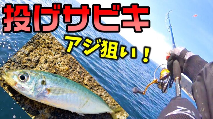 【サビキ釣り】アジ狙いで冬の投げサビキ！激渋シーズンに釣れるのか！？