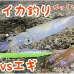 【ショアヤリイカ釣り】エサｖｓエギどちらが釣れるか１人２役で実釣