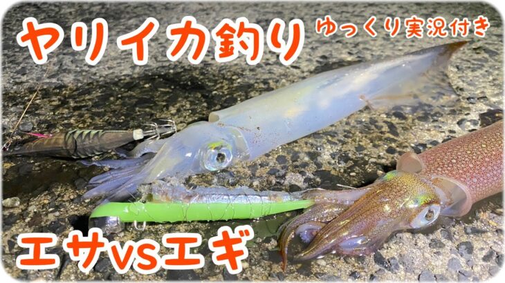 【ショアヤリイカ釣り】エサｖｓエギどちらが釣れるか１人２役で実釣