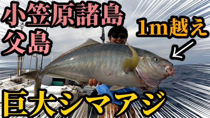 【シマアジ】巨大高級魚がジギングで連発！