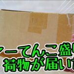 【バス釣り】ルアーてんこ盛りの荷物が届いたよ #バス釣り