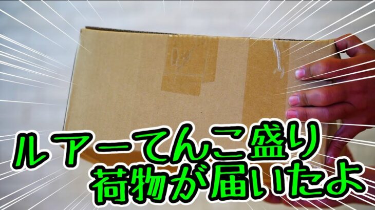 【バス釣り】ルアーてんこ盛りの荷物が届いたよ #バス釣り