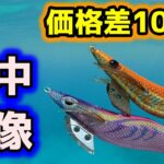 【ダイソーエギング】100円エギと1000円エギの水中アクションを見比べてみた。【エギ王K】