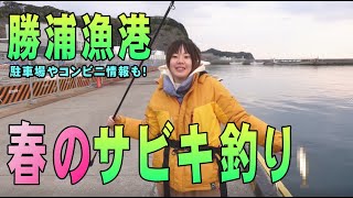 【釣り初心者】千葉・勝浦漁港でサビキ釣り！駐車場など気になる情報も【2021春】