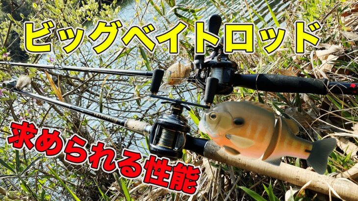 【バス釣り】ビッグベイトのタックル（ロッド）を紹介!!おすすめの長さやショートロッドのインプレ【シマノ】【コスパ】【5oz】【グラディエーターアンチ】【アンダーテイカー】【レイドジャパン】