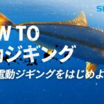 HOWTO電動ジギング【電動リールの使い方】