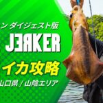 【SOUL JERKER＃1】山口県 山陰エリア 藻場に潜む春の大型アオリイカに挑む～春エギング特有の藻場やシャロー帯を攻略～